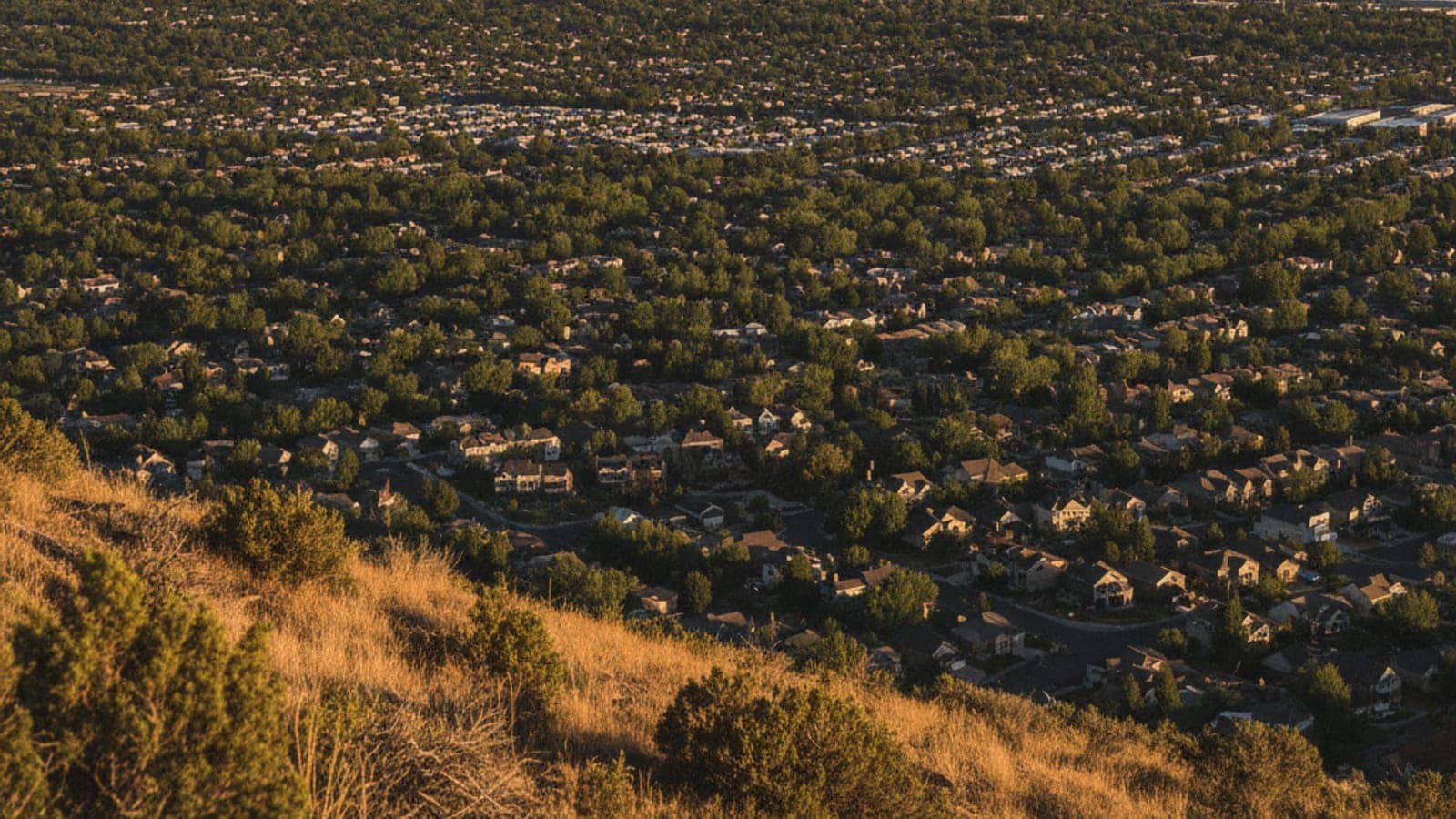 A vast suburban landscape with many houses and trees extends under golden light, viewed from a dry hillside.
